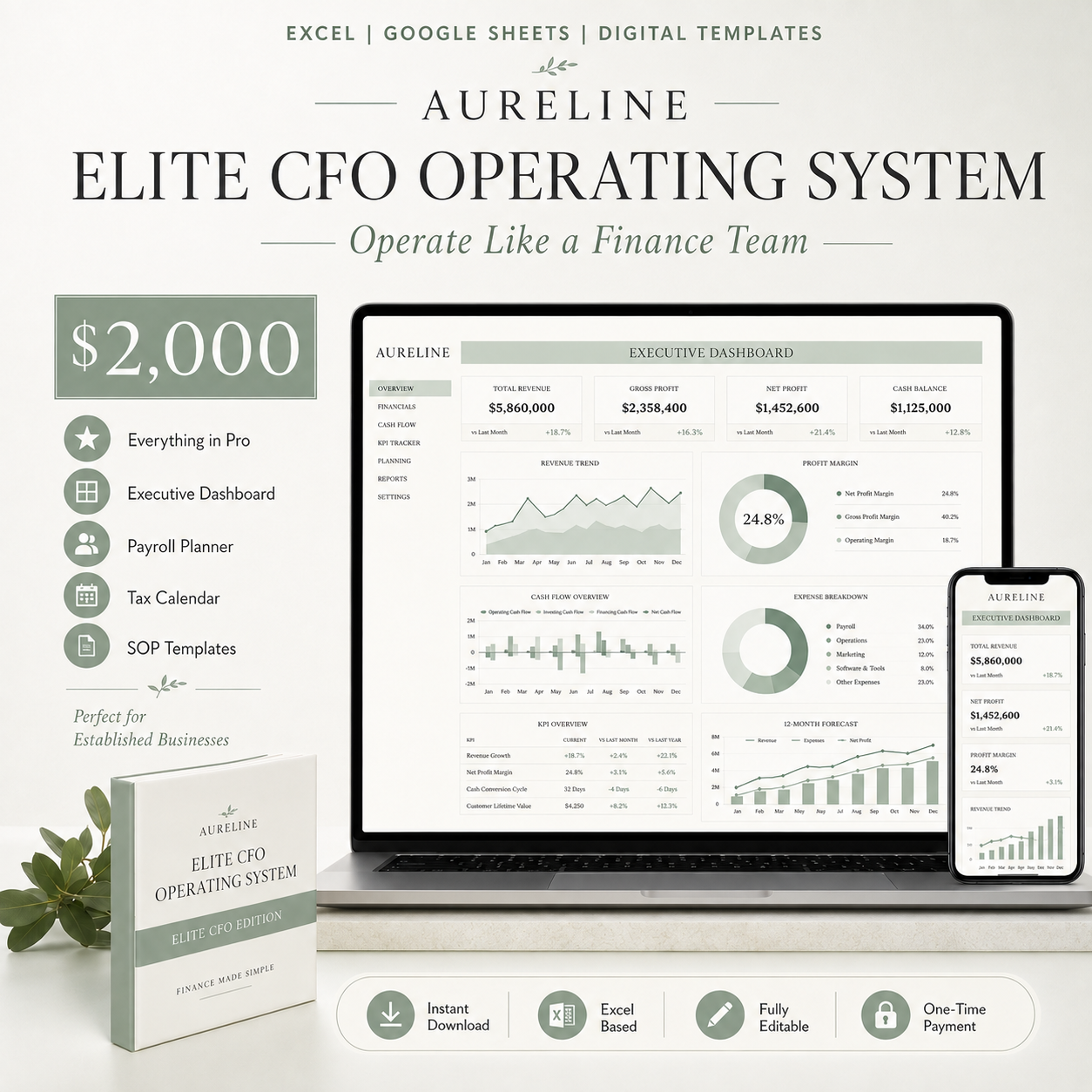 Aureline Business Finance Operating System.